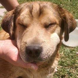 D 21209742 87f8 45af 8667 c8deb64057f8