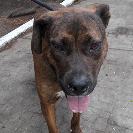 D ab71ea7f 35d7 40d0 94d4 f52b704482f7