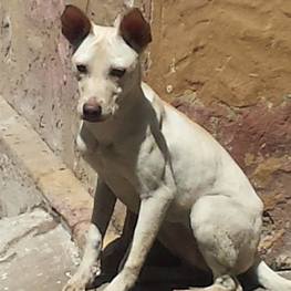 D b262a933 2f94 4c31 8eeb 3ef260c2919e