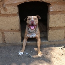 D 4c6945b9 64de 45a0 8f54 5912fdbb582c