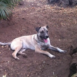 D 4bf01635 5f70 47e2 8815 c419681a41ea