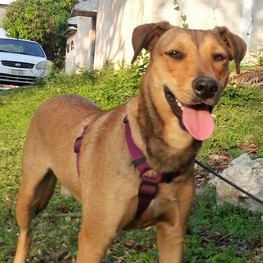 D 017113f3 55f7 4757 966e 11bbc4453249