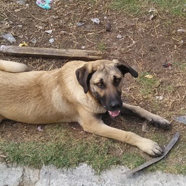 D a582b88a fee0 4d69 85c5 78d332ac6eb3