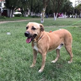 D afaec323 5803 4a88 9744 c88e2e4fb9b1