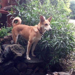 D ead2639a 9c20 48c7 8a57 bc8a73b6d155