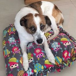 D bd39d0a7 8401 47ca a4c0 d8651a638b33