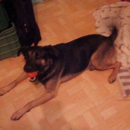 D 8fb7e459 a343 4c8c b05c 1b1c2d866918