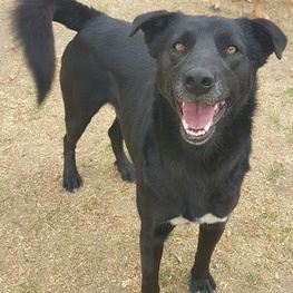 D 6bfd52e2 34c4 4ac1 b7da 544cd7d67e78