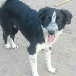 D ca93d363 41ff 4692 8899 2db0c28e01c5