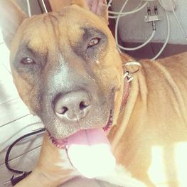 D 65723a6b 3202 48d5 8098 cefefc151f27