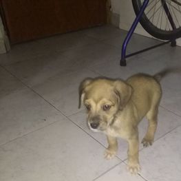 D 8e870f0f cd8a 41aa b995 f4ba838a8a76