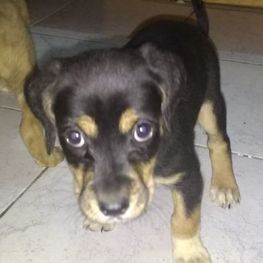 D 82e6b917 8ec1 41a2 ab21 47f7e2349d7a