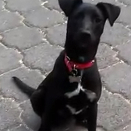 D a5240f34 07ac 4a26 b33d 1f5470c6405a