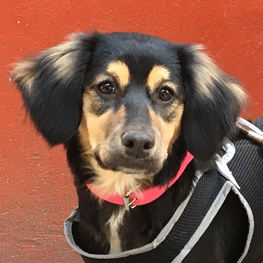 D ada8e9c3 7103 4743 a127 1f073fe8faab