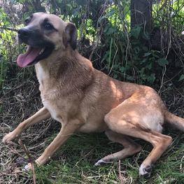 D 2697e7db 3eed 42e9 816d edee4f566452