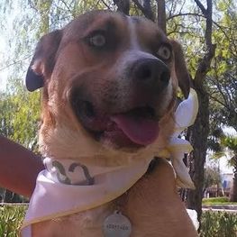 D c909b919 4f36 4711 8366 e8c044c9fd3b