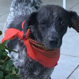 D 8e72e76b 87e3 4c23 a5f0 623e8e86e909