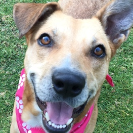 D d19e071c f013 4d48 b2df d63e95025146