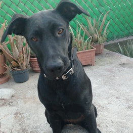 D 32c123e8 65ac 4c8a 8199 e4d9bb7d35e4