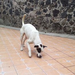 D 462086b1 6439 49c7 b3cd 2cebf593f315