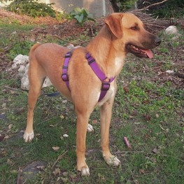 D bbe1a2c9 32b5 45e1 b022 32fc69ebbf57