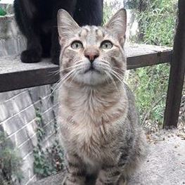 D 16ad8abe b7c2 41d0 8bd7 00fc4ec68f1e