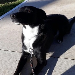 D d034487f 9e5f 4d05 984c b683b5867aeb