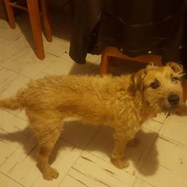 D 15947937 5569 4c65 a0b4 34e95cc31d65