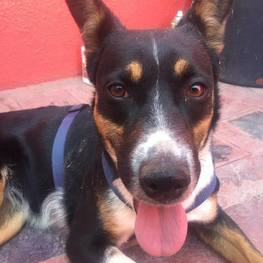 D 2b5b120d 7772 4bc7 bc0b b272aca31864