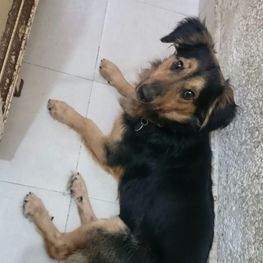 D 27b895b9 7c1d 44a6 9891 b014228b054e