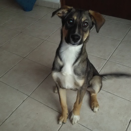 D 2af29f69 2692 436d a6fa dd5c6318bc9f