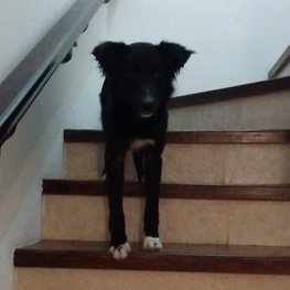 D 94a4db4e c292 4aea 9d6f 7524b1c756f0