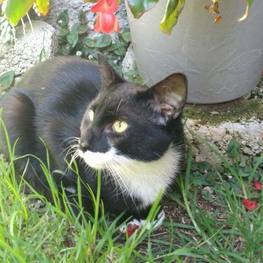 D 564cfda5 40a1 4ad4 91c9 0656c688ac77