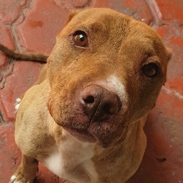 D 166a496d 1ab5 4370 b3ef 1af67b4f2d2e