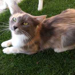 D 318c7be0 4392 494e 82ac 46a073be8993