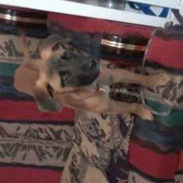 D bb9b7206 b930 4c40 94be 3228d8ca6432