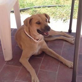 D 8a21ce58 badf 4fda b0f8 69c5fa0d5ee8