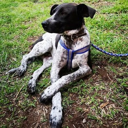 D af4624c3 8624 421a 8fd6 e4869f9a0575