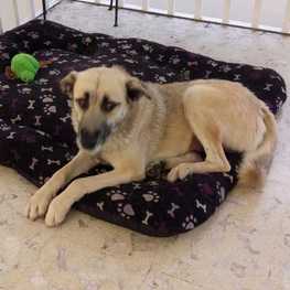 D 881b4e26 7987 4dfd 9905 d25c5e66b6ef