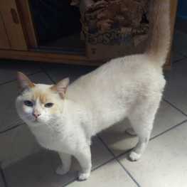 D 5dafcdd7 99bc 4c35 9cf5 0e9a8370e2cc