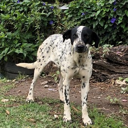 D 129a4e32 a2e2 456f 883e dd619f3b2809