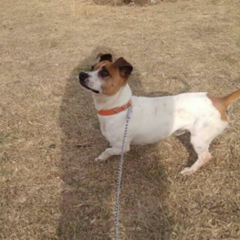 D 7a5779dd dcff 49ba 90d7 5325e9ecd5ab