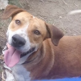 D 4da8e7d5 1fc8 4475 a5bf 8fd2de135c3b