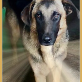 D 812185ac 0895 47e2 8b85 97d86b395e69