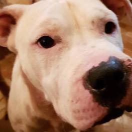 D 336b7c84 5d2d 4c11 9c76 78df10e891f9