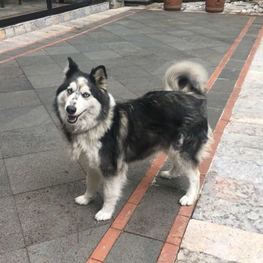 D bb5f567f b7e7 4385 b3e5 c44b20fc8a4b