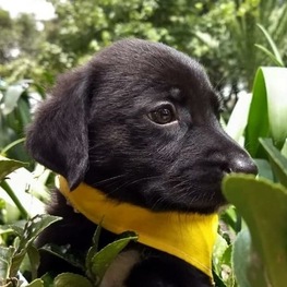 D 2eda9795 a4e8 4404 a4d9 c8905a95b386