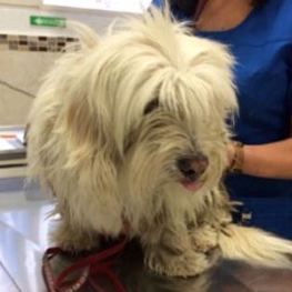 D 17183871 f4b6 46ed b788 50f1cf37a676