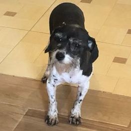 D 5ba1c519 1d93 40e8 a3b9 e137a24b2739