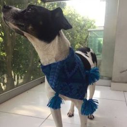 D 7e5f72f8 4960 4a7e 8118 fbaae05533d1